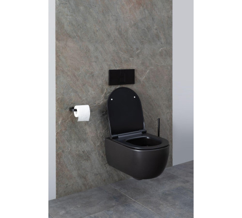 Чаша подвесного унитаза Allen Brau Priority 4.31001.31 черный матовый