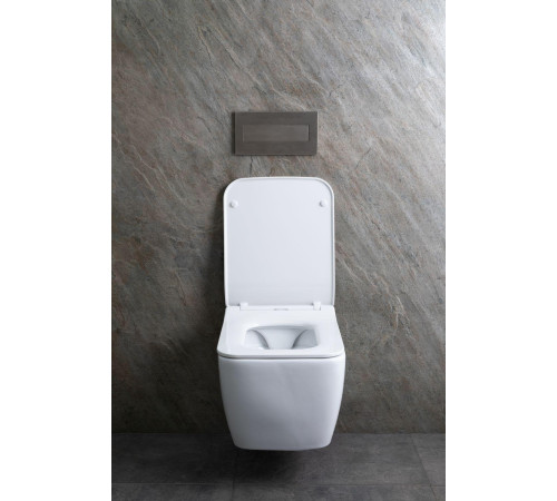 Чаша подвесного унитаза Allen Brau Liberty 4.33007.20 белый