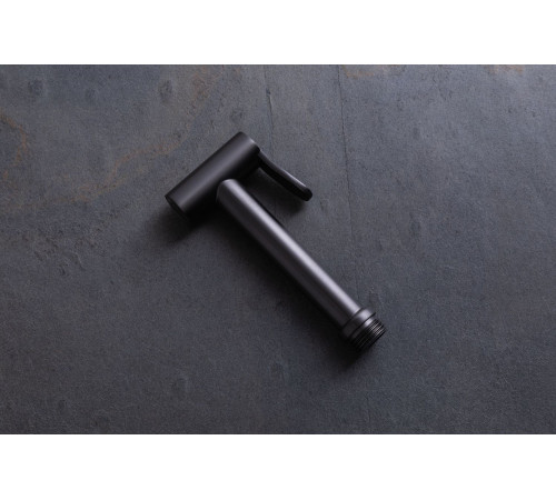 Гигиеническая лейка Allen Brau Priority 5.31028-MG графит браш