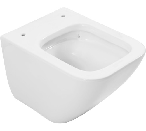 Чаша подвесного унитаза Allen Brau Liberty 4.33012.20 белый