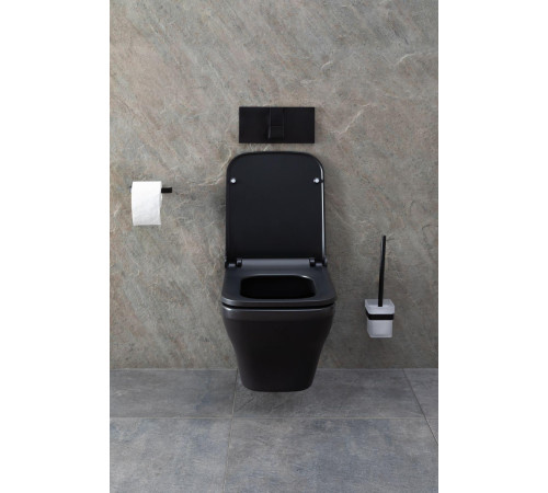 Чаша подвесного унитаза Allen Brau Infinity 4.21011.31 черный матовый