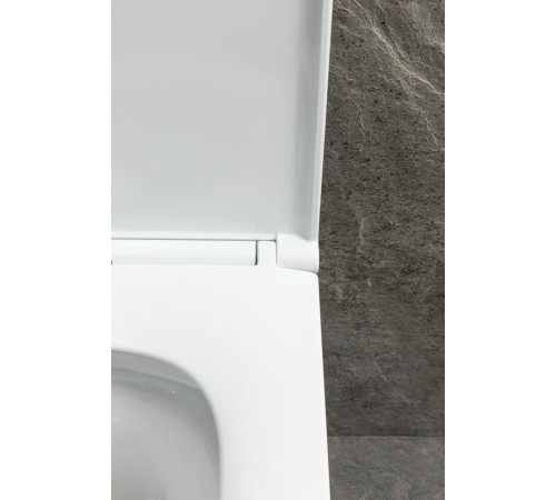 Чаша подвесного унитаза Allen Brau Priority Tornado 4.31009.20 белый глянец