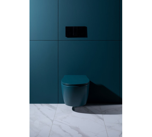 Крышка-сиденье для унитаза Allen Brau Fantasy Soft-Close 4.11005.PT петроль