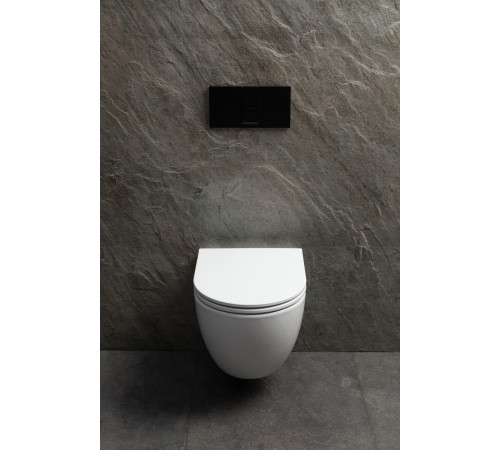 Чаша подвесного унитаза Allen Brau Priority Tornado 4.31009.20 белый глянец