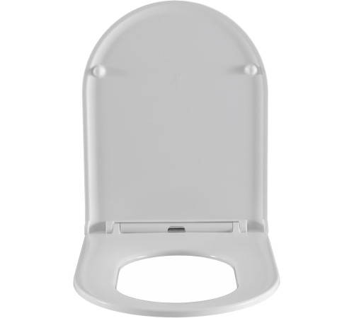 Чаша напольного унитаза Aquanet Ray-C