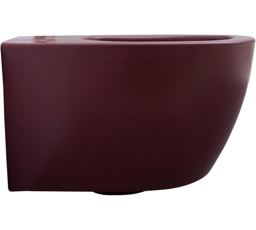 Чаша подвесного унитаза Allen Brau Fantasy 4.11004.BD бордо