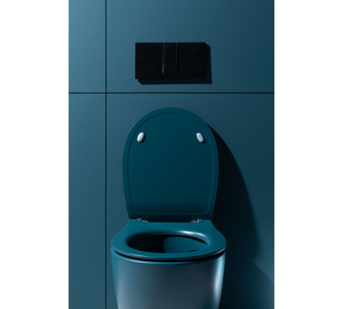 Крышка-сиденье для унитаза Allen Brau Fantasy Soft-Close 4.11005.PT петроль