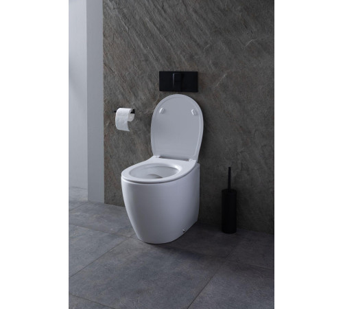 Чаша приставного унитаза Allen Brau Fantasy 4.11007.20 белый глянец