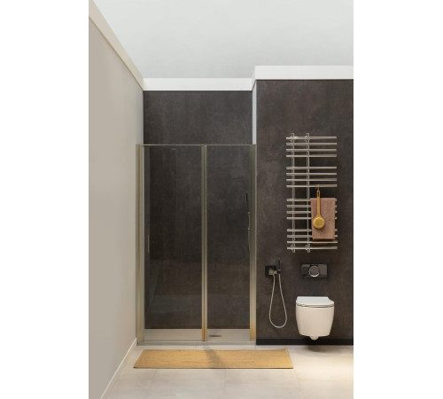 Душевая дверь Allen Brau Priority 160 3.31038.BA серебро браш