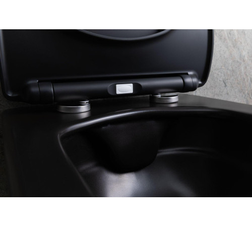 Чаша подвесного унитаза Allen Brau Liberty 4.33007.31 черный матовый