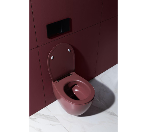 Чаша подвесного унитаза Allen Brau Fantasy 4.11004.BD бордо