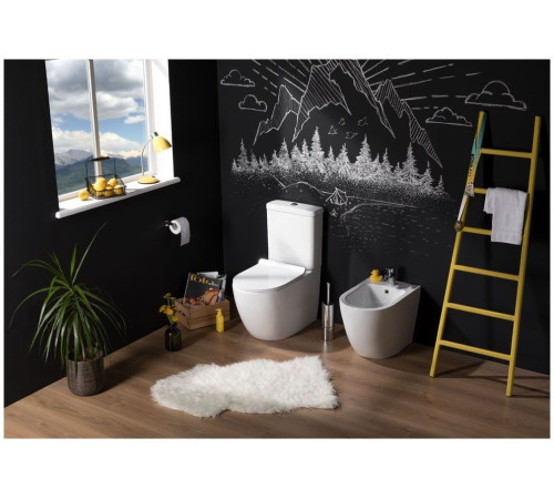 Чаша напольного унитаза Aquanet Rimless Cetus-C1 BL-102N-TPT