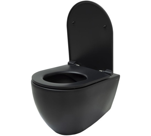 Чаша подвесного унитаза Allen Brau Reality 4.32006.31 черный матовый