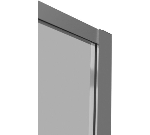 Душевая дверь Aquanet Pleasure Evo 120 AE65-N120-CT профиль хром, прозрачное стекло