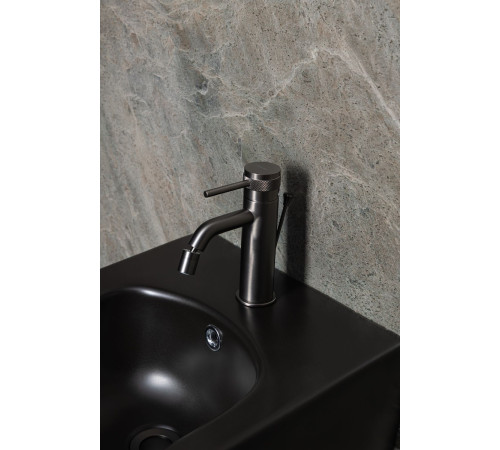 Смеситель для биде Allen Brau Priority 5.31A04-MG (с донным клапаном) графит браш