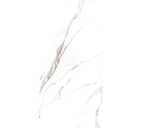 GT1206012003SPR Керамогранит Alfanzo белый лаппатированный 60x120