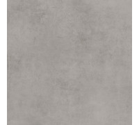 GT60600501MR Керамогранит Stardust серый матовый 60x60