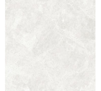 GT60604606PR Керамогранит Korinthos светло-серый полированный 60x60