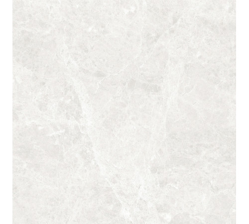 GT60604606PR Керамогранит Korinthos светло-серый полированный 60x60