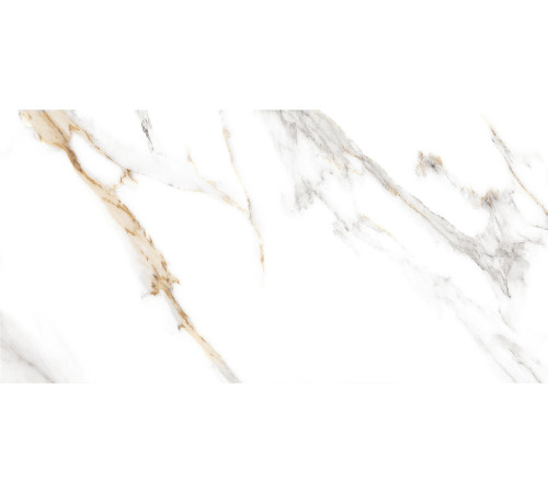 GT97VG Плитка настенная Capella белая глянцевая 25x50