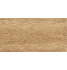 GT220VG Керамогранит Florida бежевый матовый 30x60