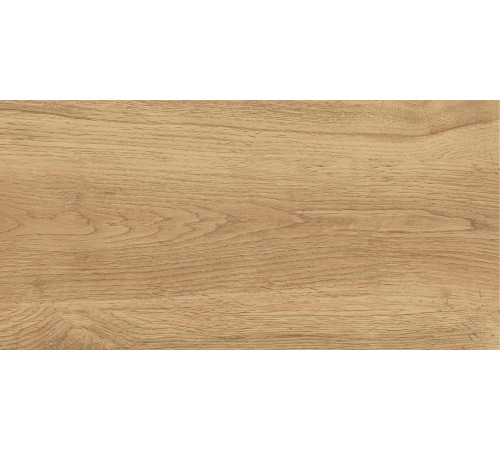 GT220VG Керамогранит Florida бежевый матовый 30x60