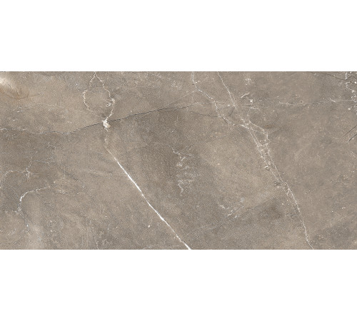 GT122VG Плитка настенная Siluet коричневая глянцевая 25x50