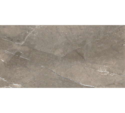 GT122VG Плитка настенная Siluet коричневая глянцевая 25x50