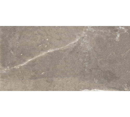 GT122VG Плитка настенная Siluet коричневая глянцевая 25x50