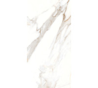 PGT120609903SGR Керамогранит Espero белый матовый 60x120