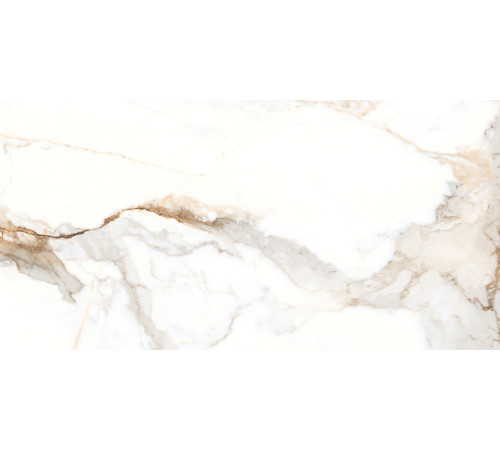 PGT120609903SGR Керамогранит Espero белый матовый 60x120