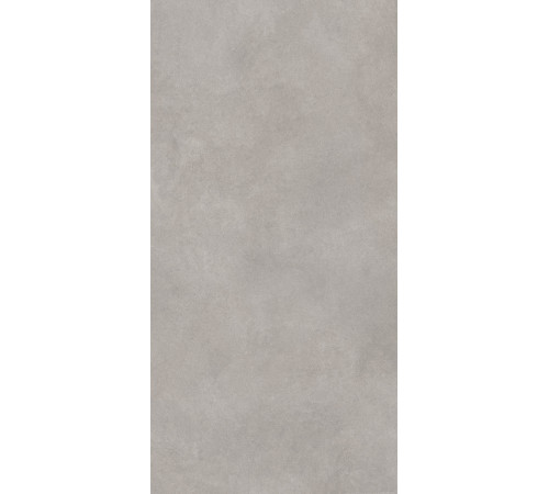 GT1206017701MR Керамогранит Cassini серый матовый 60x120