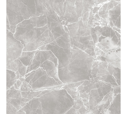 GT60601301MR-3 Керамогранит Solo серый матовый 60x60