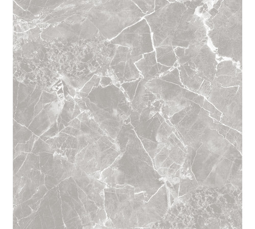 GT60601301MR-3 Керамогранит Solo серый матовый 60x60