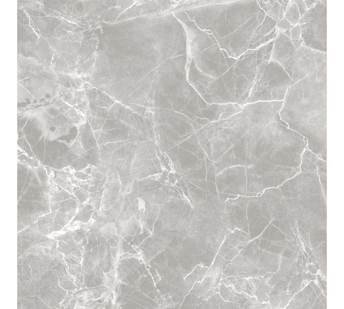 GT60601301MR-3 Керамогранит Solo серый матовый 60x60