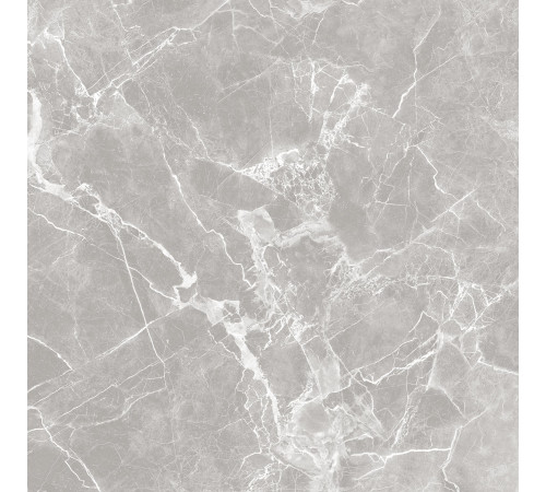 GT60601301MR-3 Керамогранит Solo серый матовый 60x60