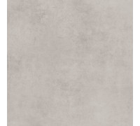 GT60600506MR Керамогранит Stardust светло-серый матовый 60x60