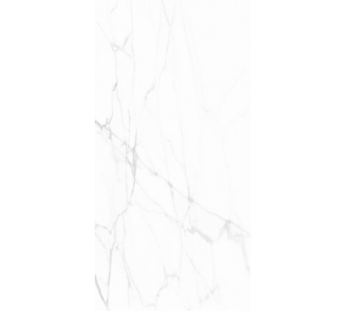 GT1206015903PDR Керамогранит Andrea белый полированный 60x120