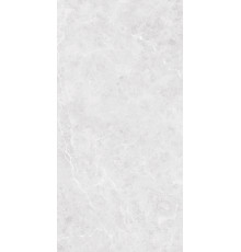 GT1206017596MR Керамогранит Solis светло-серый матовый 60x120