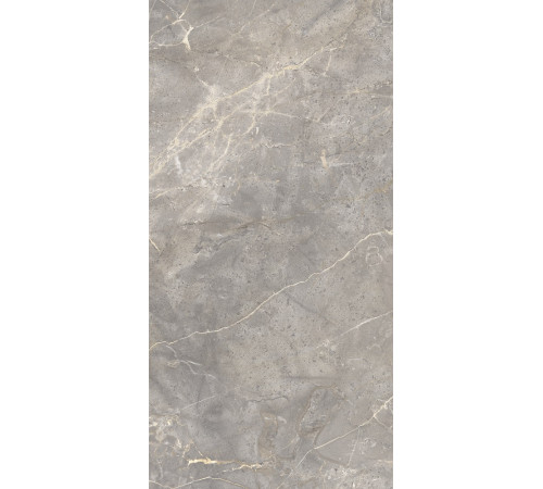 GT120603101MCR Керамогранит Sacramento серый карвинг матовый 60x120