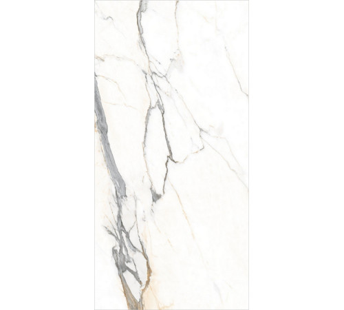 GT120604103MGR Керамогранит Statuario Elite белый граниль матовый 60x120