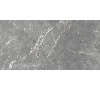 GT99VG Плитка настенная Capella серая глянцевая 25x50