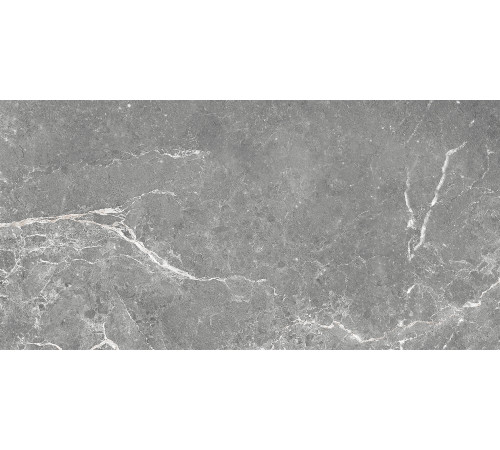 GT99VG Плитка настенная Capella серая глянцевая 25x50