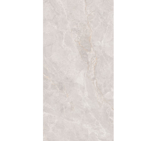 GT1206018106MCR Керамогранит Montera светло-серый матовый 60x120