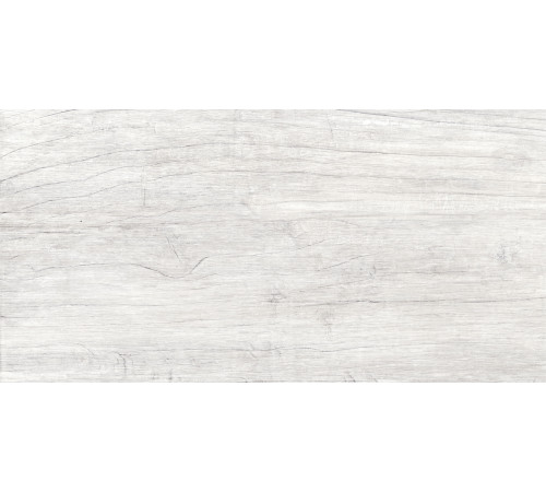 GT223VG Керамогранит Storm светло-серый матовый 30x60