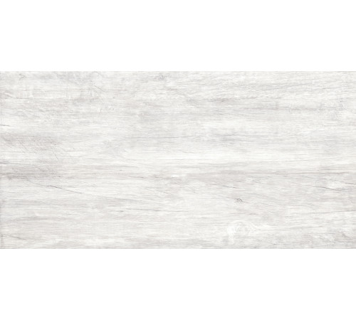 GT223VG Керамогранит Storm светло-серый матовый 30x60