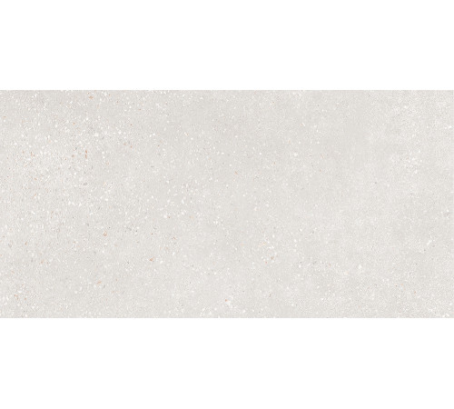 GT182VG Керамогранит Coral Rock светло-серый матовый 30x60