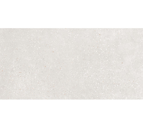 GT182VG Керамогранит Coral Rock светло-серый матовый 30x60