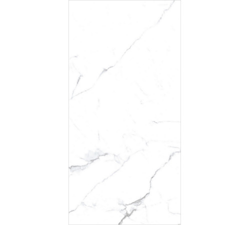 PGT120609403MGR Керамогранит Olivia белый матовый 60x120