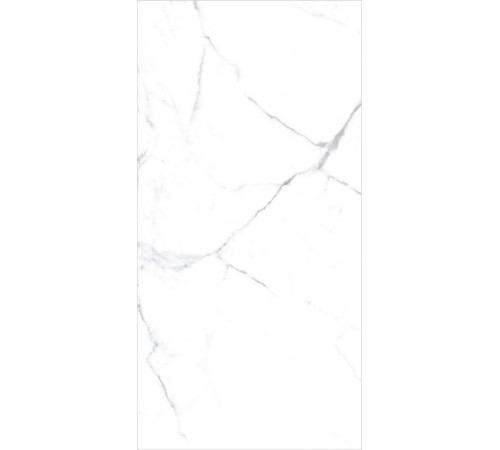 PGT120609403MGR Керамогранит Olivia белый матовый 60x120